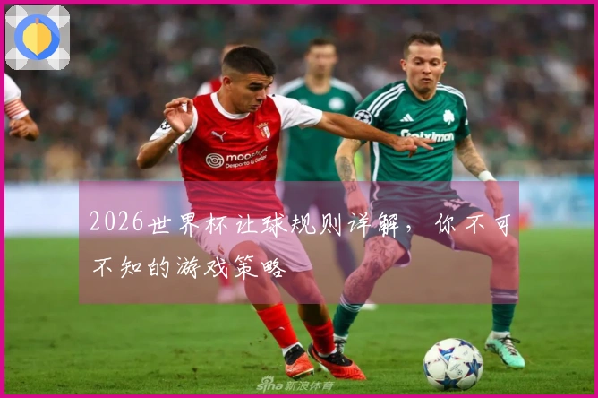 2026世界杯让球规则详解，你不可不知的游戏策略