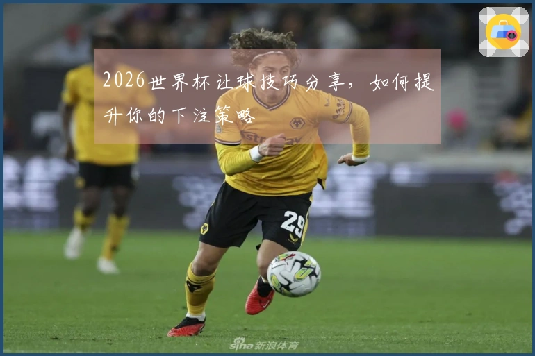 2026世界杯让球技巧分享，如何提升你的下注策略