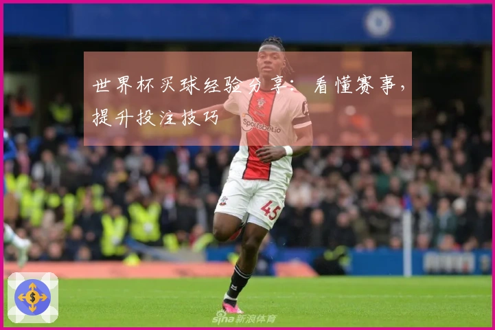 世界杯买球经验分享：看懂赛事，提升投注技巧
