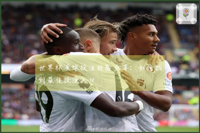 世界杯滚球投注经验分享：如何找到最佳投注入口