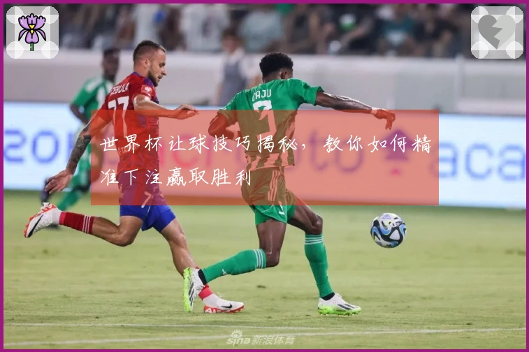 世界杯让球技巧揭秘，教你如何精准下注赢取胜利