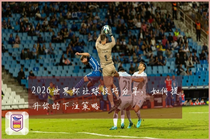 2026世界杯让球技巧分享，如何提升你的下注策略