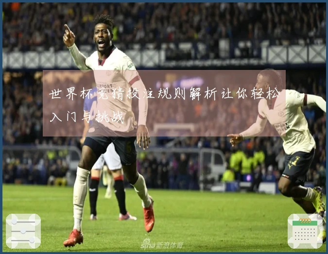 世界杯竞猜投注规则解析让你轻松入门与挑战