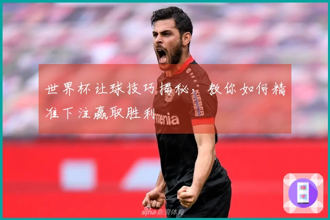 世界杯让球技巧揭秘，教你如何精准下注赢取胜利